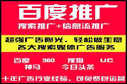 百度竞价排名案例解析：如何快速提升网站流量